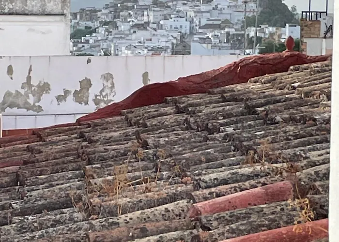 Esencia De Arcos